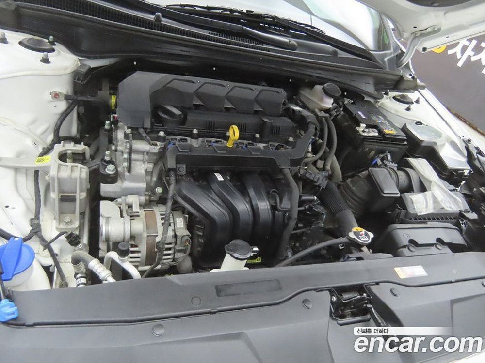 Hyundai Avante (CN7) 1.6 (11.2020)