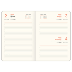 Ежедневник датированный 2026г., А5, 176л., твердый переплет, кожзам, BG "Horse. Shade", цветной срез, с резинкой, карман DdА5_09397