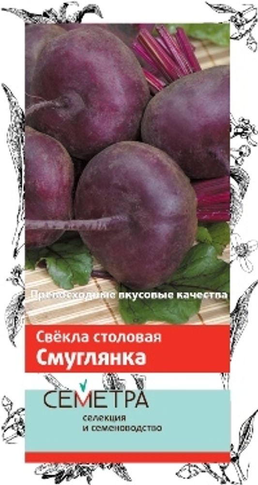 Свёкла столовая Смуглянка