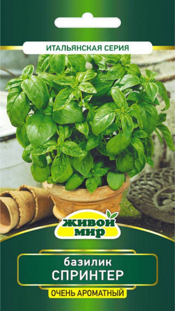 Базилик "ЖМ. Спpинтep" 0,5г., Италия.