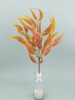 Ветка Ива осенняя