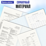Тетради предметные комплект 12 ПРЕДМЕТОВ 48 л. SoftTouch фольга BRAUBERG "ELEGANCE" (2 штуки в упаковке)