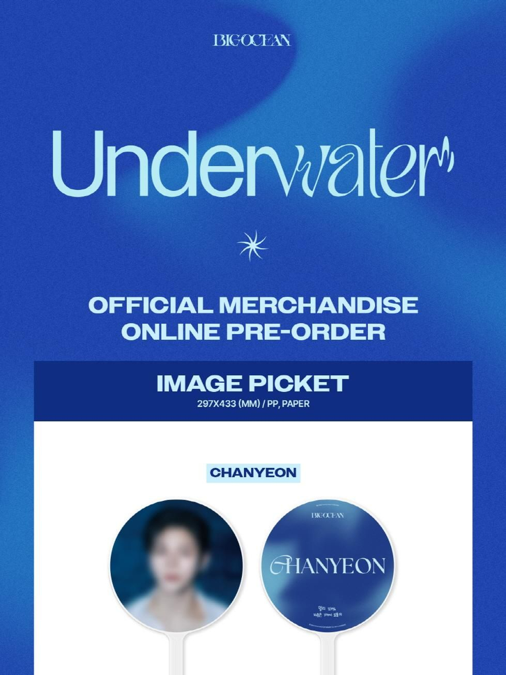 товары BIG OCEAN - UNDERWATER OFFICIAL MD IMAGE PICKET PJ Version