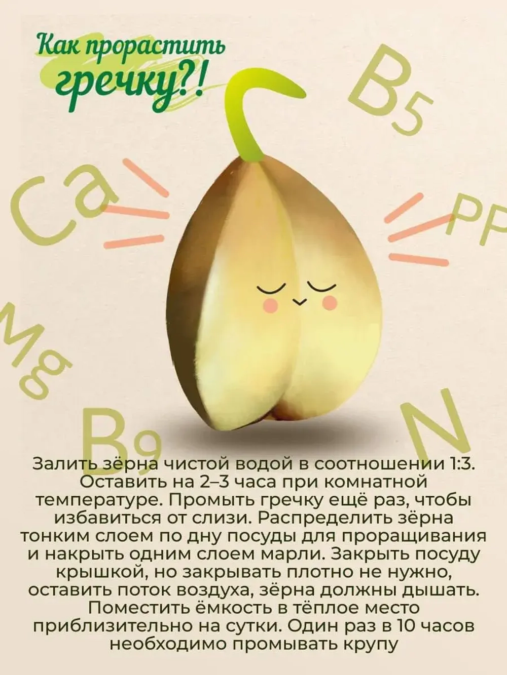 Крупа в стаканах 3 вида Зеленая Гречка, Булгур, Бурый Рис