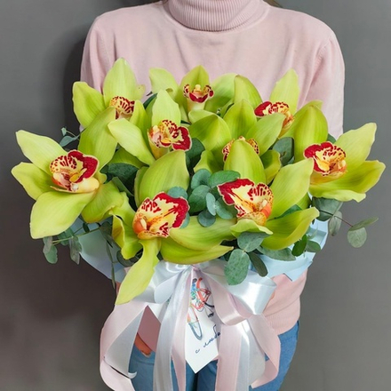 Коробка с 9 фисташковыми орхидеями