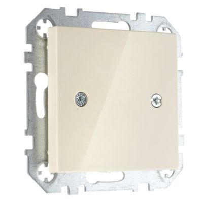 Заглушка для розетки LIREGUS EPSILON D-001-01.E/S слоновая кость