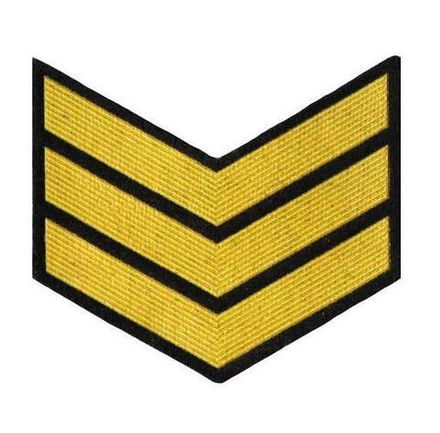 Курсовка пластизол. 3 курс