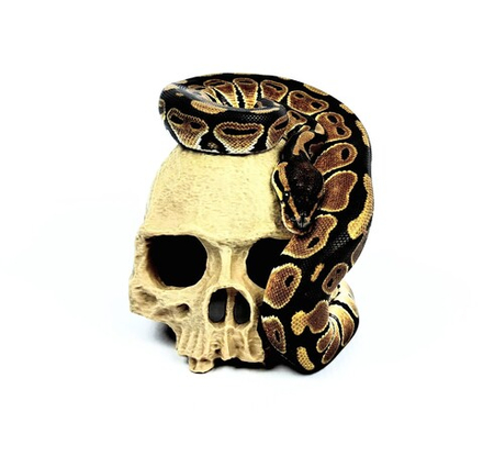 Укрытие для рептилий череп/среднее.