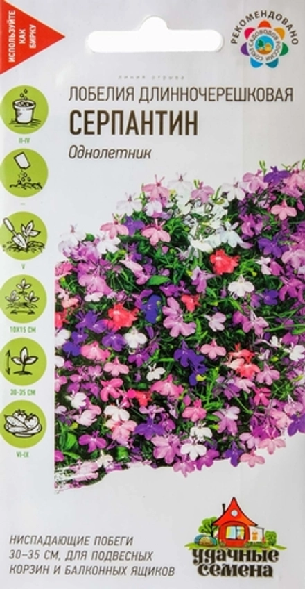 Лобелия Серпантин длинночерешковая