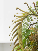 Панно с искусственными растениями