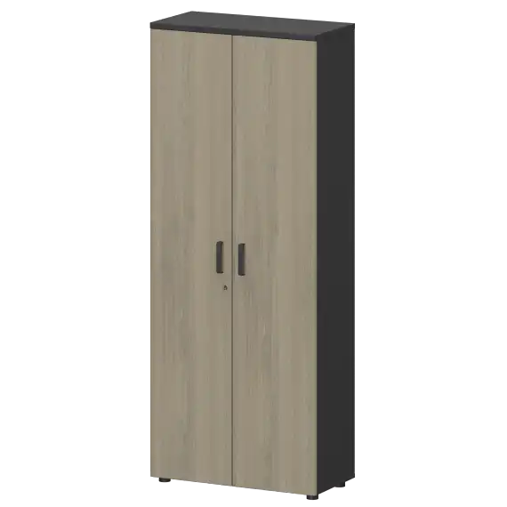 Шкаф СМШ-58Д Тип1  792x380x1990 Смарт