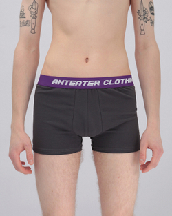 Трусы ANTEATER Boxers-black-grey