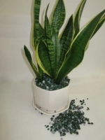 Дренаж для цветов и растений микс зеленый