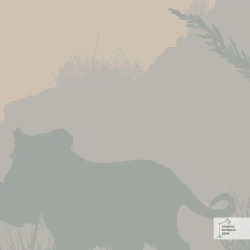 Фотообои 3d детские 400х270 Тени джунглей