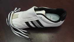 Степки для тхэквондо Rapid (иск. кожа)