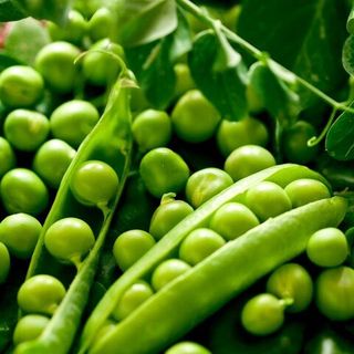 Горох Преладо 50 грамм