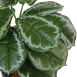 Цветок искусственный в горшке «Сингониум» 22см