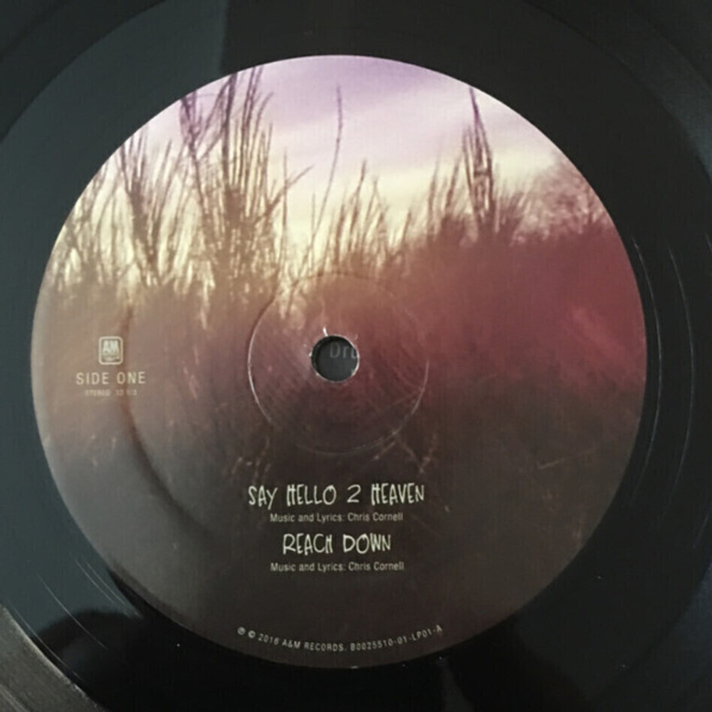 Temple Of The Dog / Temple Of The Dog (LP+12" Vinyl Single)