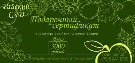 Подарочный сертификат 3000 рублей