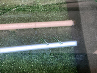 Стекло двери переднее левое BMW X1 F48 (2015-2022)