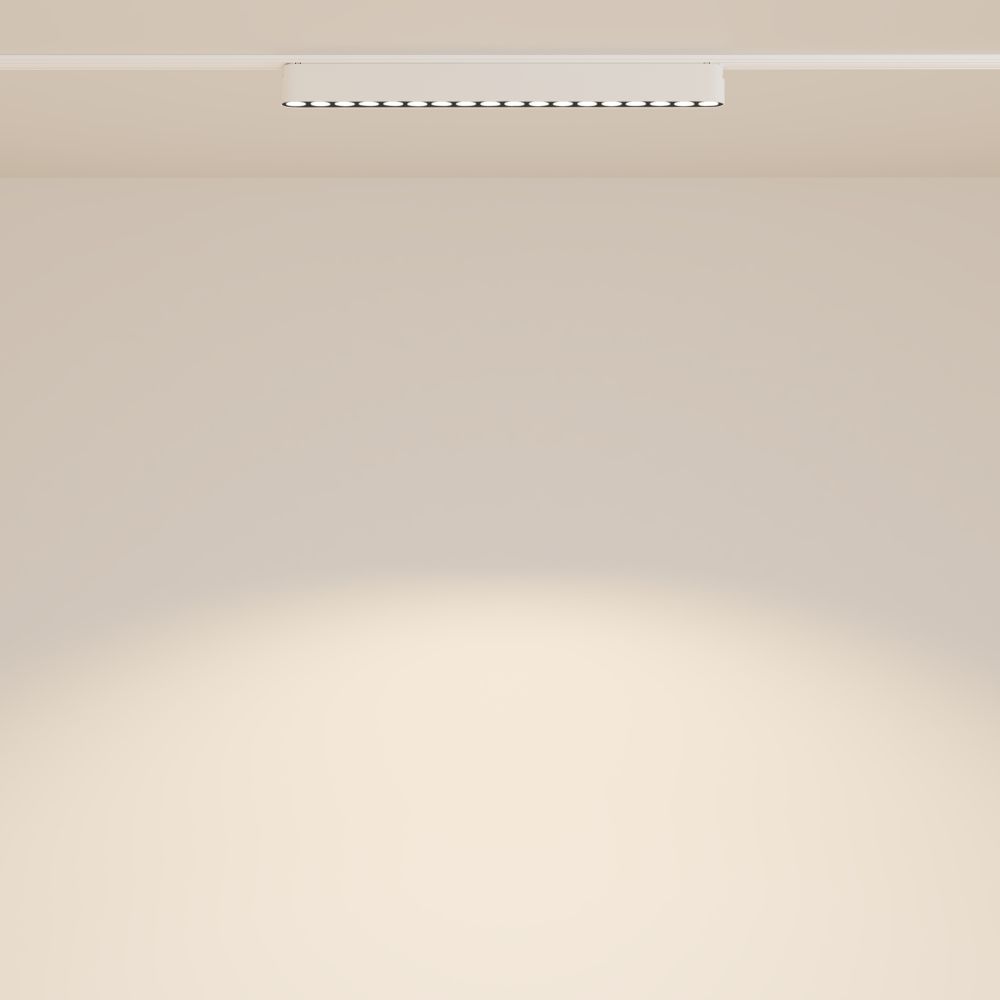 Трековый магнитный светодиодный светильник Maytoni Radity   TR082-1-18W3K-M-W