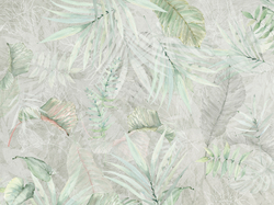 Коллекция SELVA 19