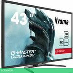 Игровой монитор Iiyama G-Master Red Eagle G4380UHSU-B1