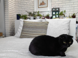 Текстильный комплект покрывало и подушки Альпака