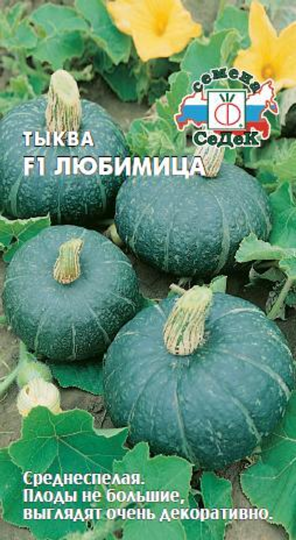 Тыква Любимица 1г Ц СеДеК