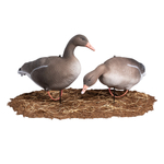 Серый гусь Softplast мод. S10S