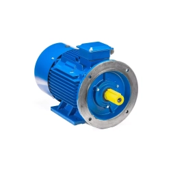 Электродвигатель 5АИ 200 L6 30/1000 IM2001