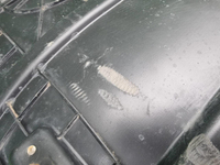 Подкрылок передний левый Ford Cargo (2011-н.в.)