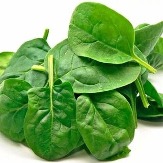 Шпинат Гелиос F1 500 (грамм)