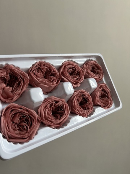 Роза пиновидная бургунди d=4-5 см (упак 8 шт)