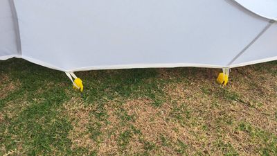 Прозрачная надувная палатка-шар «BubbleTree» ПВХ, 3,9*3*2,3 м