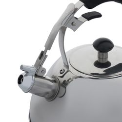 Чайник для плиты Gipfel Cosmo 8600 2,5 л