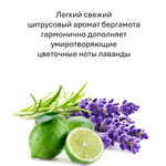 Лаванда и Бергамот, кубики восковые для ароматизации, 10 штук