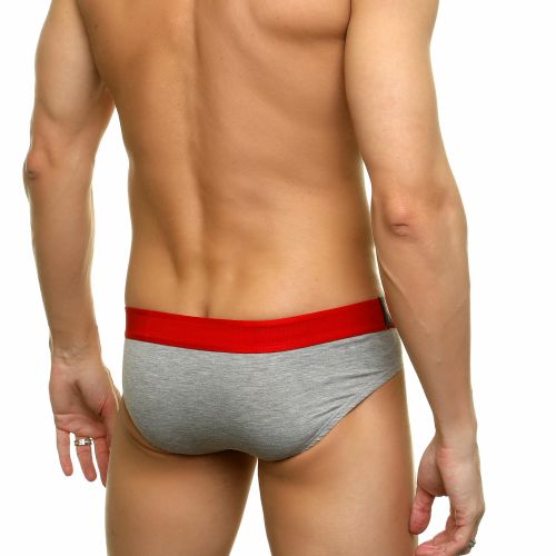 Трусы мужские слипы серые DARKZONE DZN6353