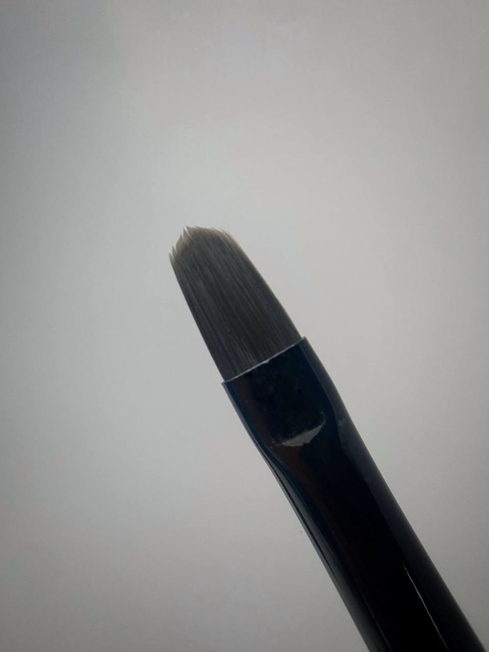 photo_5307810268065154754_y