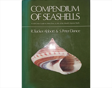 Книга compendium of seashells, БУ