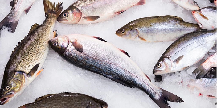 Почему выбирают нас?