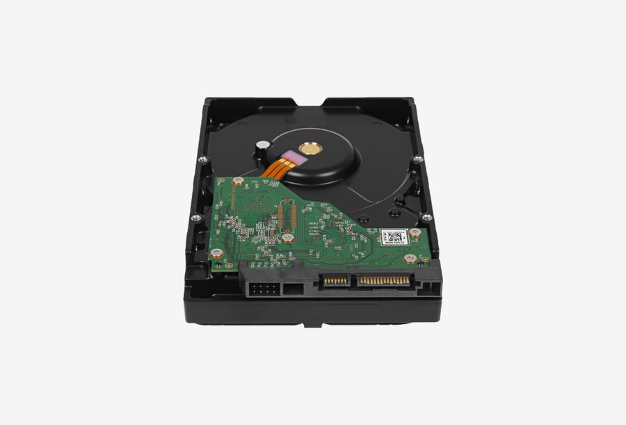 WD64PURZ_0326522103644