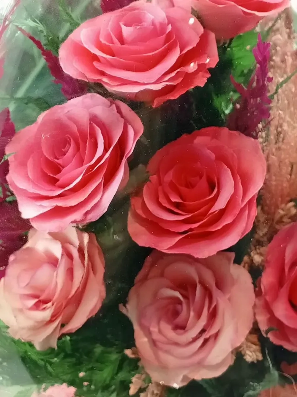 натуральные цветы в стекле, вакуум