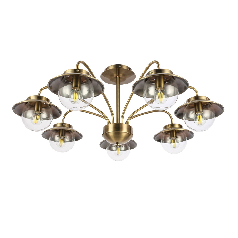 Светильник потолочный Evoluce Garonni SLE110102-07