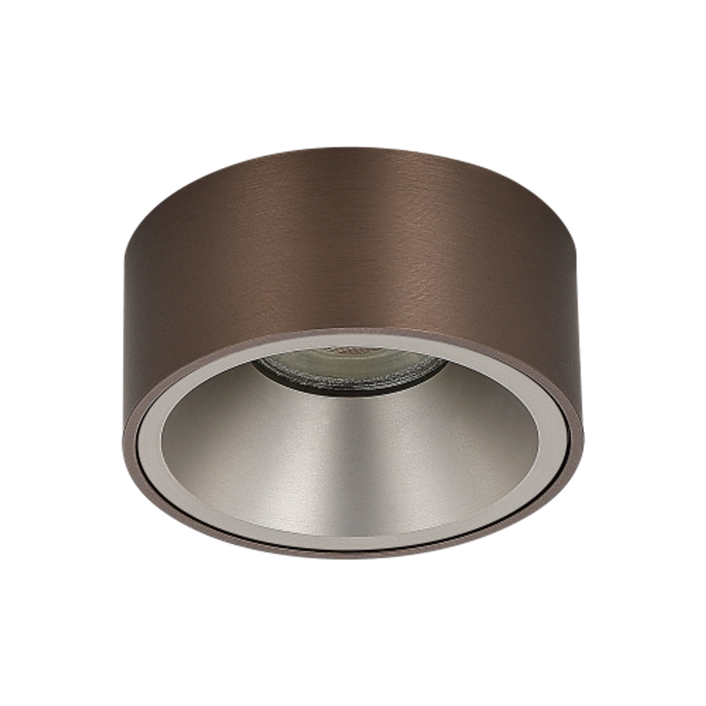 DL18030R1DBronzeV F