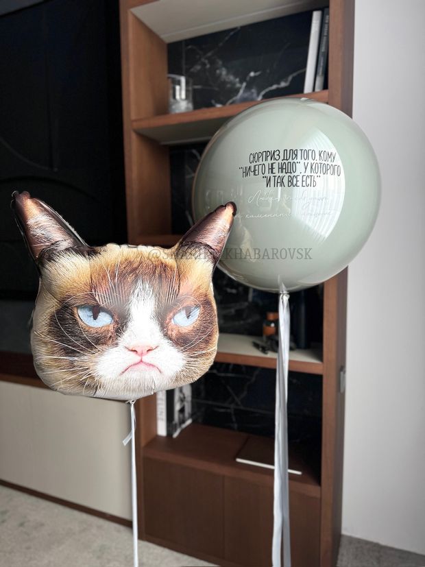 Воздушные шары №6273