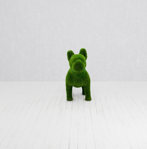 Топиари Французский бульдог