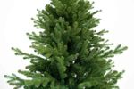 Ель искусственная «Кредо» (Литая+пвх) от 1.5 до 2.1 м