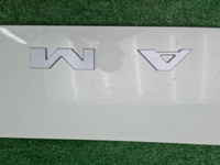 Накладка передняя Kamaz 43086 Компас 6 (2024-н.в.)