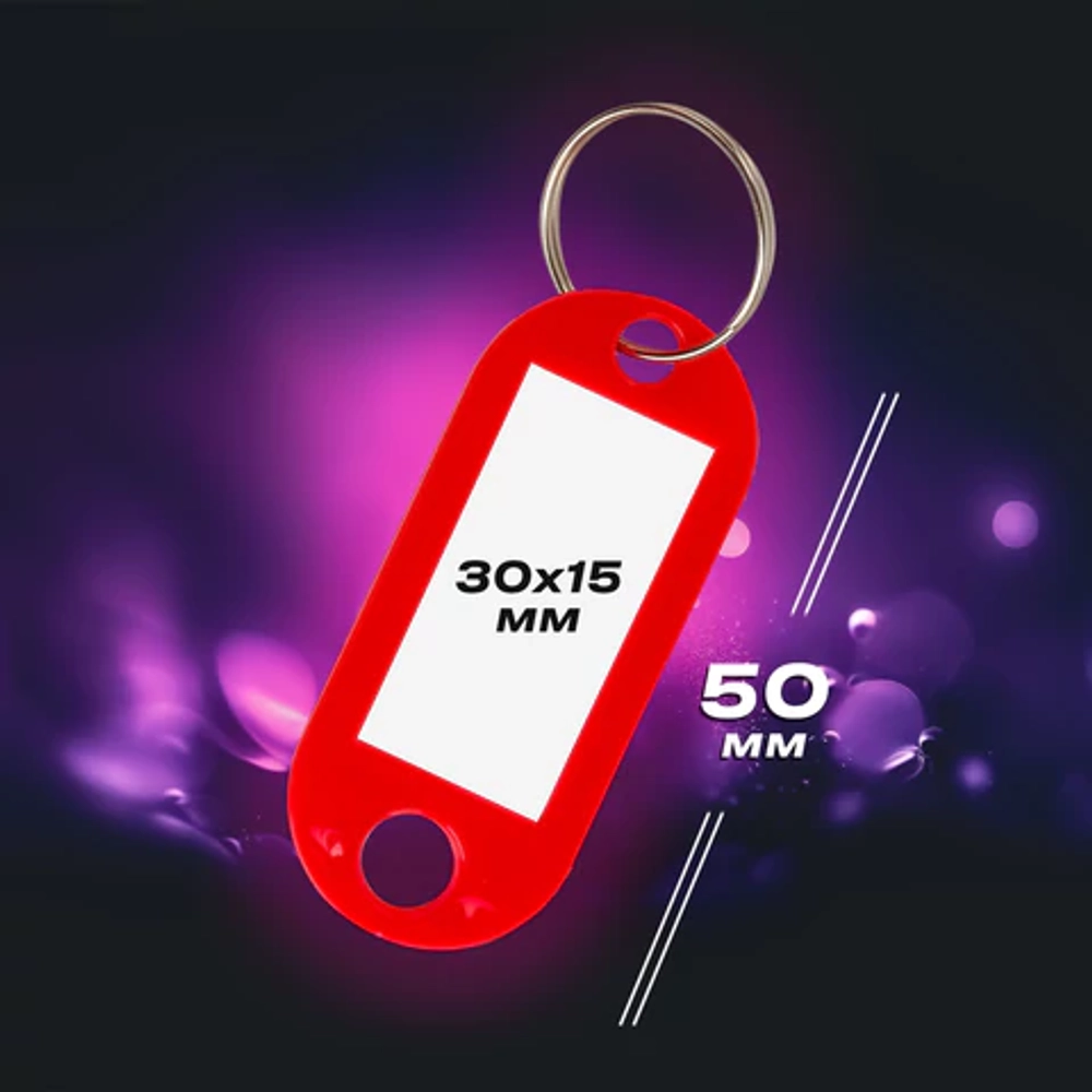 Бирки для ключей 12 шт., длина 50 мм, инфо-окно 30х15 мм, ассорти